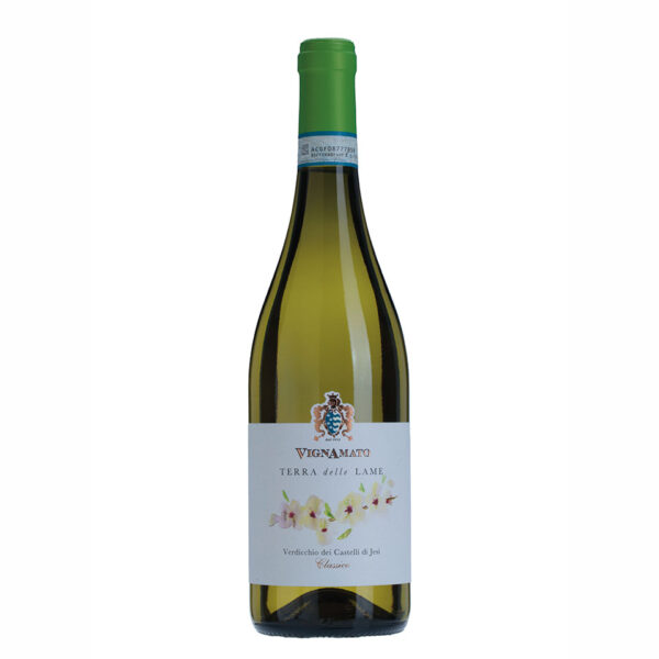 Terra Delle Lame - Verdicchio dei Castelli di Jesi DOC Classico 2024