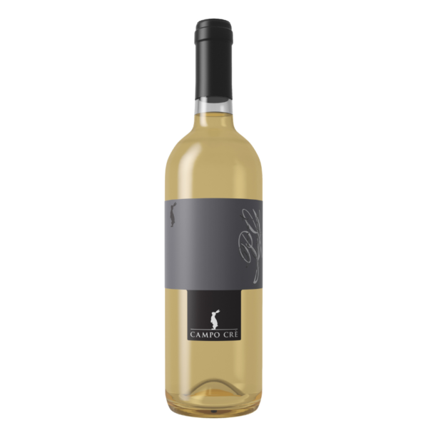 Campo Crè - Pinot Grigio DOC 2023