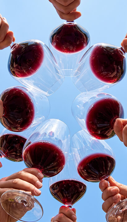 Dégustation de vins rouges d’importation privée lors d’un rassemblement